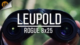 Leupold Rogue 8x25  Compact Porro Binoculars  Field Review [upl. by Annoyk679]