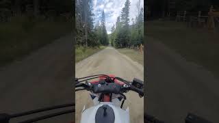 Honda Atc200x ride honda 200x threewheeler atc riding trailriding fast [upl. by Clerc]