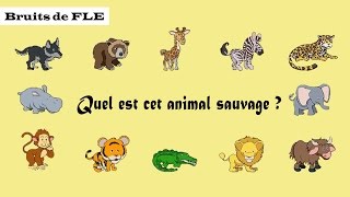 【Bruits de FLE】 Quel est cet animal sauvage [upl. by Agem]