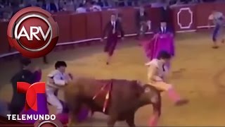 Toro le clava los cuernos a torero durante una corrida  Al Rojo Vivo  Telemundo [upl. by Valentijn]