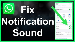 How To Fix WhatsApp Notification Sound EASY [upl. by Daukas110]