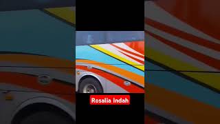 Bus Rosalia Indah [upl. by Swen]