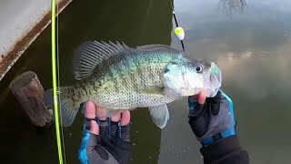 2 HOURS Of SLAB CRAPPIE Fishing From The BANK🎣 BANK CRAPPIE FISHING‼️ [upl. by Sokairyk]