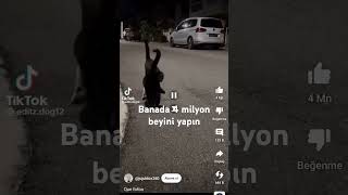 Banada 4 milyon beyeni gelsin [upl. by Ferris]