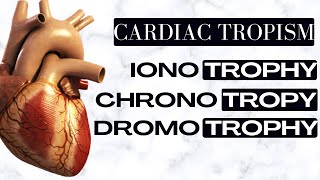 Cardiac tropism  Chronotropy vs Ionotropy vs dromotropy [upl. by Eednus]