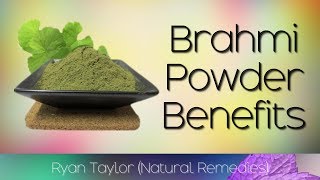 Brahmi Powder Benefits amp Uses [upl. by Lewendal]