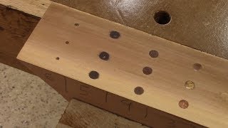 The Woodpecker How I fill holes in wood [upl. by Dyann]