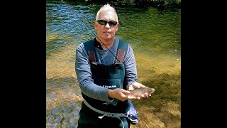 How to Catch Trout with a Rooster Tail Spinner [upl. by Ruyam783]