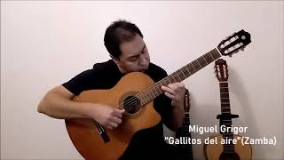 Miguel Grigor  Gallitos Del Aire Zamba [upl. by Inaliel]