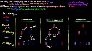 The MeselsonStahl Experiment [upl. by Maro]