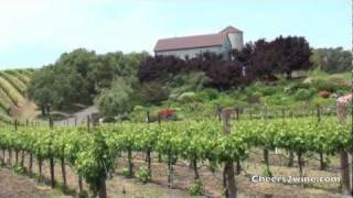 Fun Things to Do in Napa Valley [upl. by Timmi]