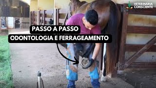 PASSO A PASSO Odontologia e Podologia Equina [upl. by Dnumyar743]