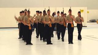 Nease NJROTC Armed Exhibition Drill Team at Navy JROTC Nationals NAS Pensacola 2016 [upl. by Kcirevam]