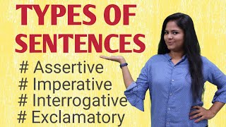 Types Of Sentences  Assertive Or Declarative Imperative Interrogative Exclamatory [upl. by Hahsi]