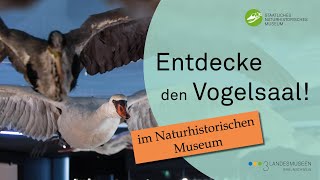 Der Vogelsaal im Naturhistorischen Museum [upl. by Idnil683]