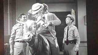 Otis On A Cow  The Andy Griffith Show [upl. by Anifur]