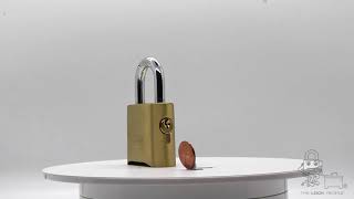 Master Lock 176 Resettable Combination Brass Padlock [upl. by Ahseal]