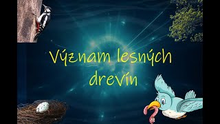 Biológia 5 ročník  Význam lesných drevín Význam lesa [upl. by Annecorinne]