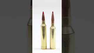 7mm PRC VS 7mm REM Mag What one you picking 7mm 284 shortvideo shorts hornady remington prc [upl. by Van]