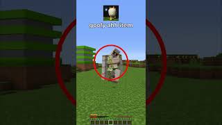 goofy ahh item in minecraft 🥶💀 [upl. by Thomas]