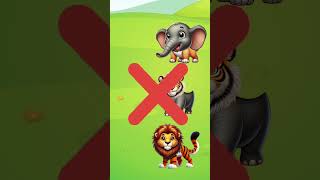 Bermain tebak gambar hewan animation kartun lion kartunlucu games animals [upl. by Honora]