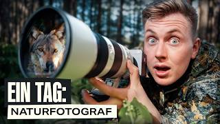 Auf der Jagd nach dem Wolf  1 Tag als Naturfotograf [upl. by Frum]