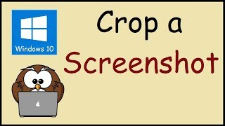 How to crop a screenshot in Windows 10 [upl. by Studdard837]