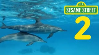 2 DOLPHINS from Sesame Street  Children’s Music Video by Dia All Day [upl. by Guy]