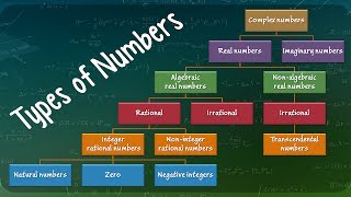 Types of Numbers [upl. by Humbert]