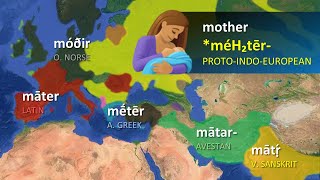 IndoEuropean Languages  Word Comparisons [upl. by Vijnas]