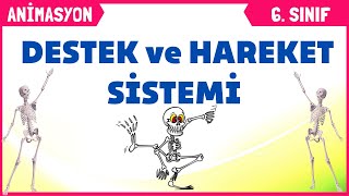 DESTEK VE HAREKET SİSTEMİ  6 SINIF FEN BİLİMLERİ 2 Ünite [upl. by Nivlak]