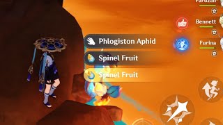 How To Find Spinel Fruit Genshin Impact [upl. by Fraser]