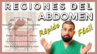 REGIONES ABDOMINALES Hipocondrio Flanco Fosa ilíaca Epigastrio Hipogastrio [upl. by Liddie]