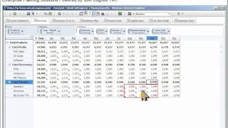 Cognos TM1 Planning [upl. by Bondy]