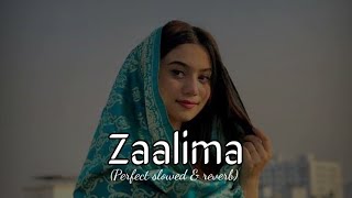 Zaalima Slowed And Reverb  Arjit Singh [upl. by Varden]