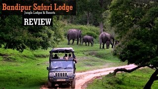 Bandipur Safari  Jungle Lodges amp Resorts I World Ghoomo [upl. by Annalla]