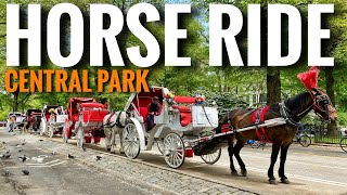 Live New York City 🔥 Horse Carriage Rides at Central Park 🐎 May 19 2021 [upl. by Ayekram]