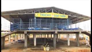 Trichy Goat Farm [upl. by Mansur]