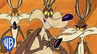 Looney Tunes auf Deutsch  Wile E Coyote das Genie  30 Minuten  WB Kids [upl. by Eylhsa]