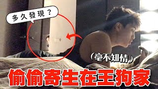 偷偷住進前男友「王狗」新家，偷吃偷玩！多久會被發現？台版寄生上流2｜技安 ft danny150349 [upl. by Ehcar]