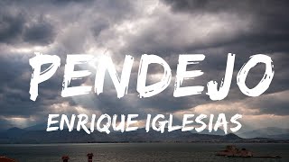 【30 Mins】 Enrique Iglesias  PENDEJO  Best Vibe Music [upl. by Aniluj]