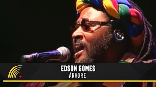 Edson Gomes  Árvore  Ao Vivo Em Salvador [upl. by Bancroft]