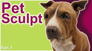 How to Sculpt REALISTIC DOG from DOG PET PICTURES  Eps 1  Polymer Clay Tutorial  by Joan Cabarrus [upl. by Beall]