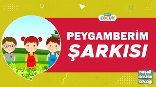 Peygamberim Şarkısı  Neşeli Dostlar Sokağı [upl. by Leslee]