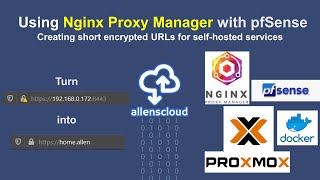 Using Nginx Proxy Manager with pfSense Proxmox and Docker [upl. by Slotnick]