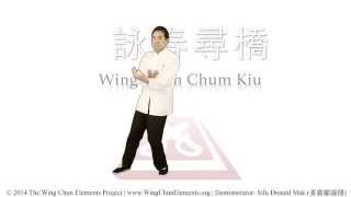 Wing Chun Chum Kiu 詠春尋橋 [upl. by Edie]