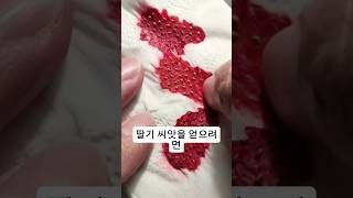 썩은 상한 물러진 딸기 절대 버리지 마세요  🍓딸기키우기 딸기모종 남은딸기 딸기재배 집에서딸기키우기 딸기무제한 재활용 fyp shorts viralvideo [upl. by Margret]