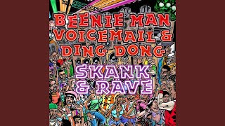 Skank and Rave feat Ding Dong [upl. by Rosana510]