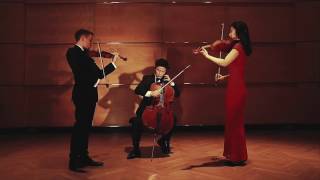 Astor Piazzolla  Oblivion arr for String Trio [upl. by Aileno]