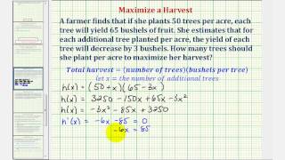 Ex Optimization  Maximized a Crop Yield Calculus Methods [upl. by Zachery]